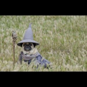 Meet your Posher, Christian